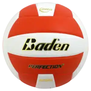 Baden Sports Perfection Volleyball